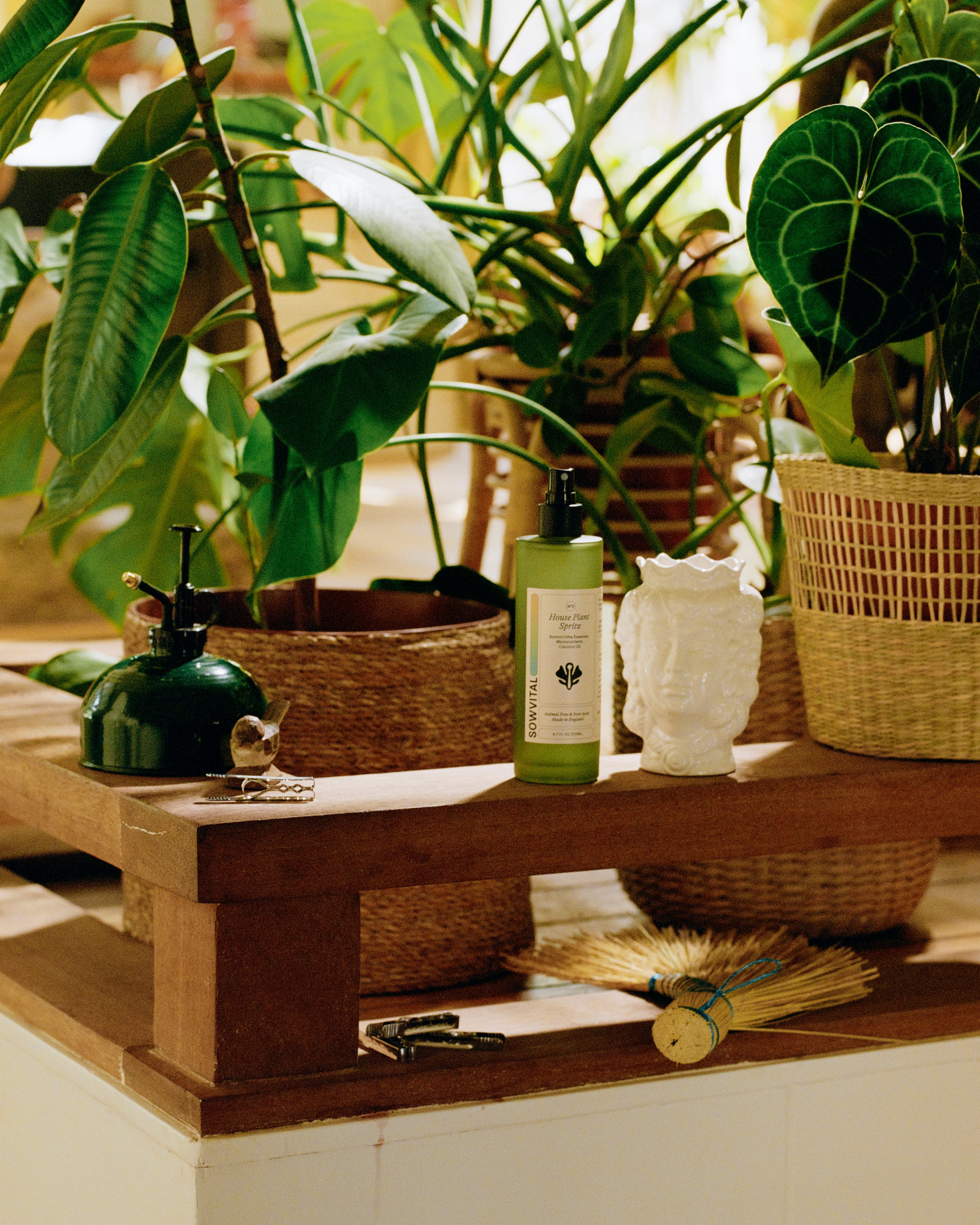 Leaf spray bottle for indoor plants showcased on a wooden bench surrounded by plants