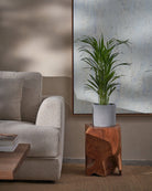 Areca-Palm-70cm-Circle-Cement-Grey-Plntd-Lifestyle-24