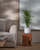 Areca-Palm-70cm-Circle-Chalk-White-Plntd-Lifestyle-23