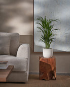 Areca-Palm-70cm-Round-Chalk-White-Plntd-Lifestyle-30