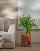 Boston-Fern-60cm-Round-Slate-Green-Plntd-Lifestyle-36