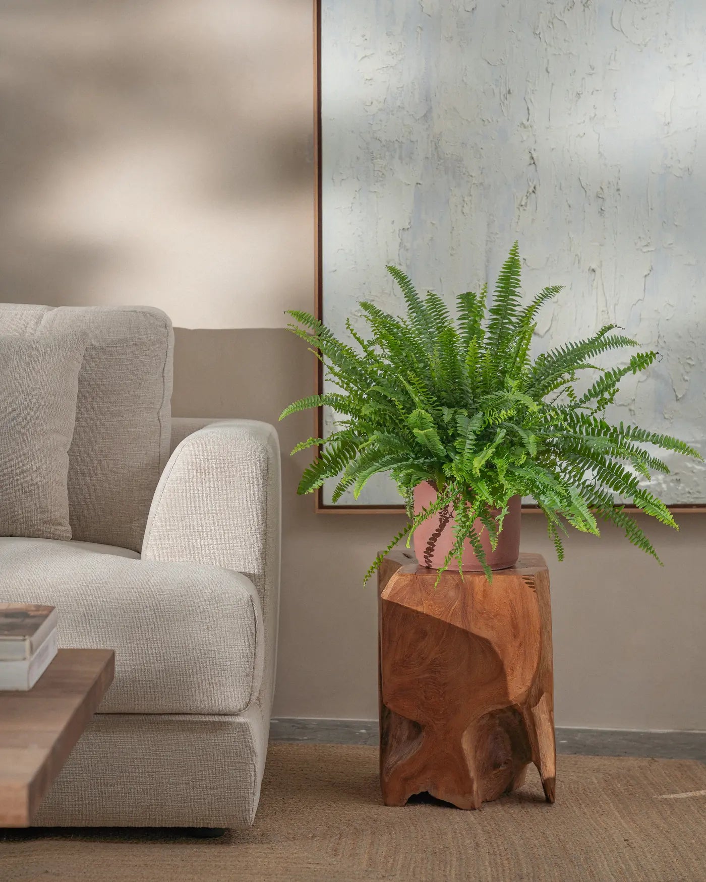 Boston-Fern-Plntd-Lifestyle-28