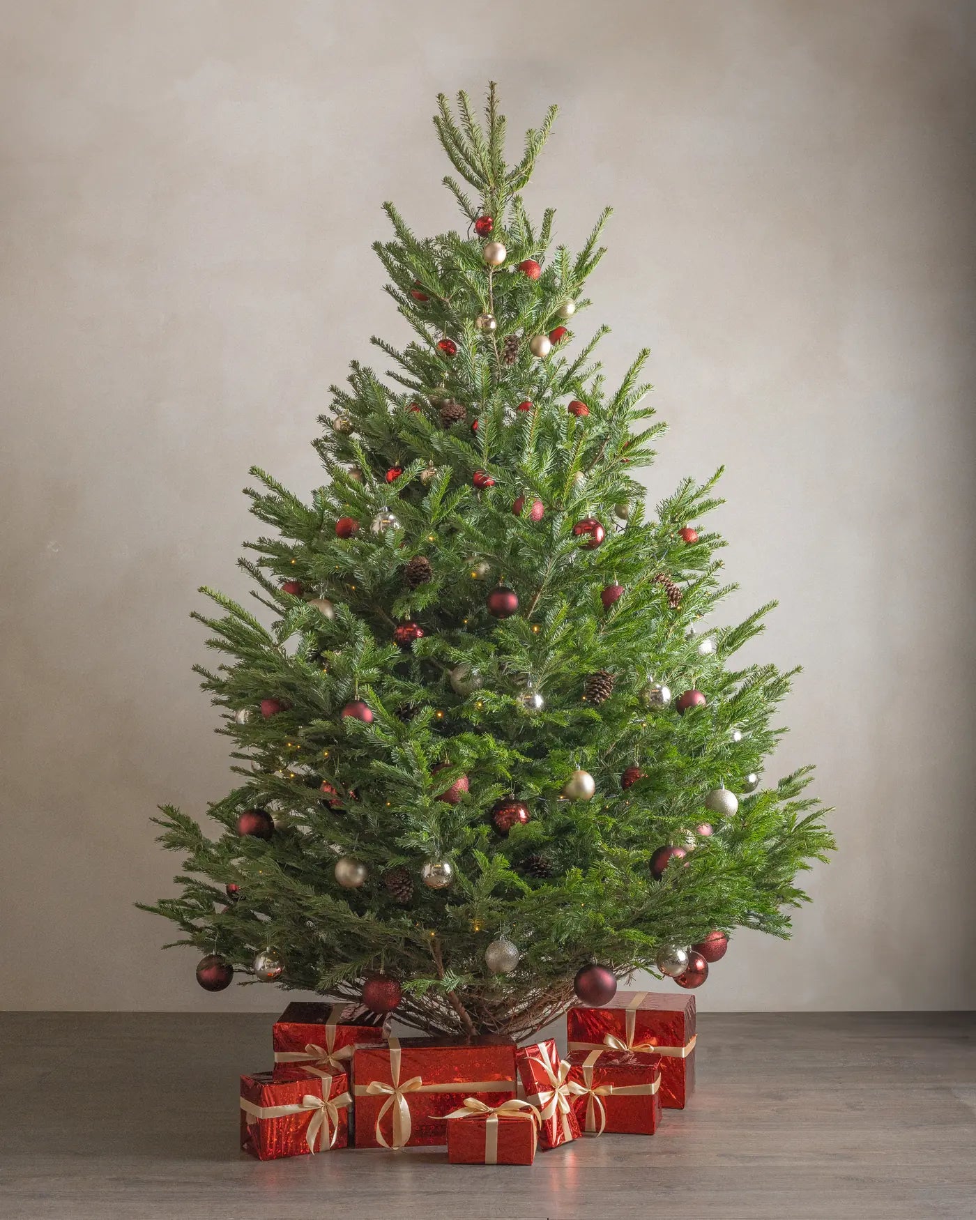 Christmas-Tree-Plntd-Lifestyle