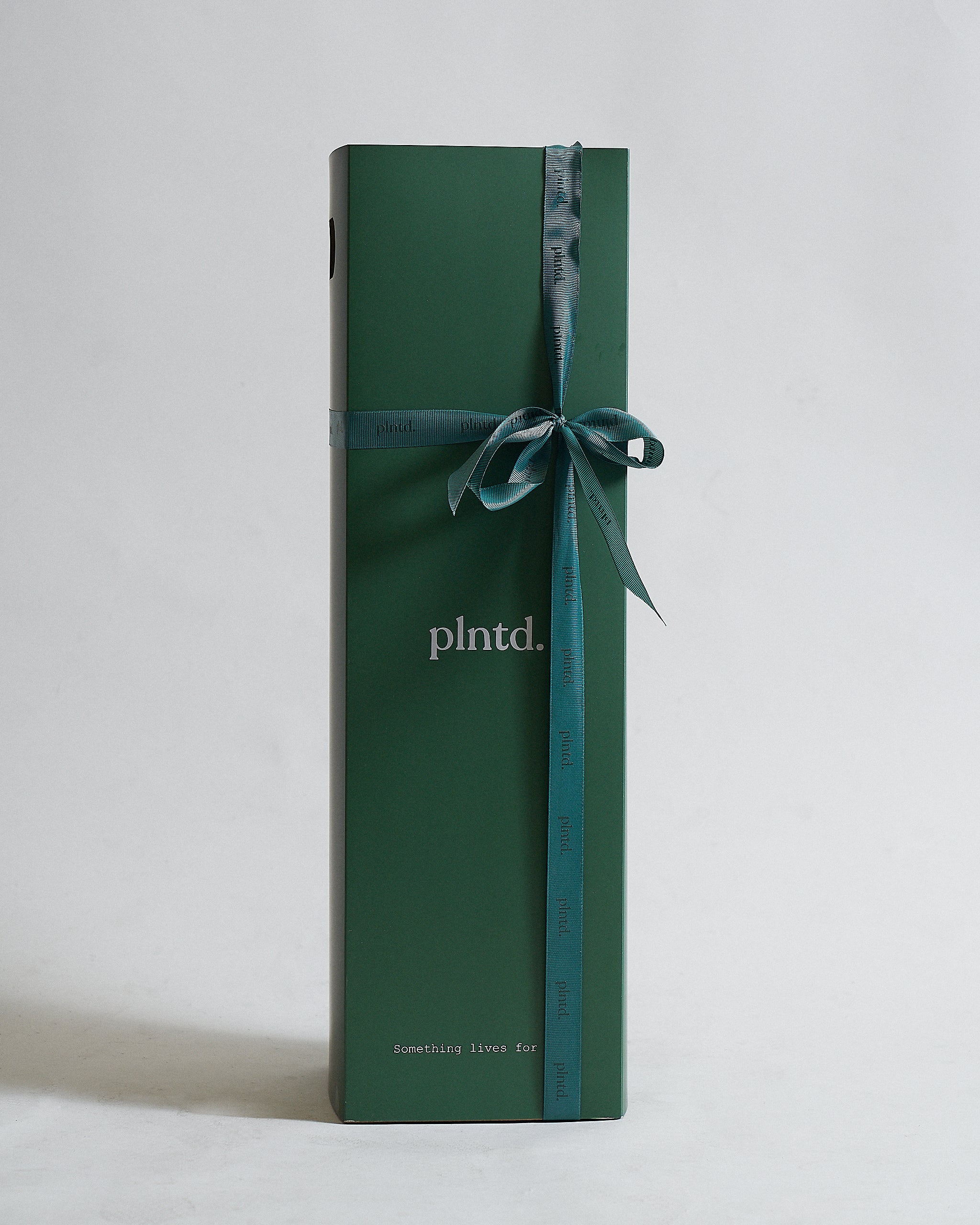 ClassicGiftWrap