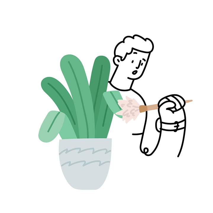 Cleaning/dusting plant with dust mop