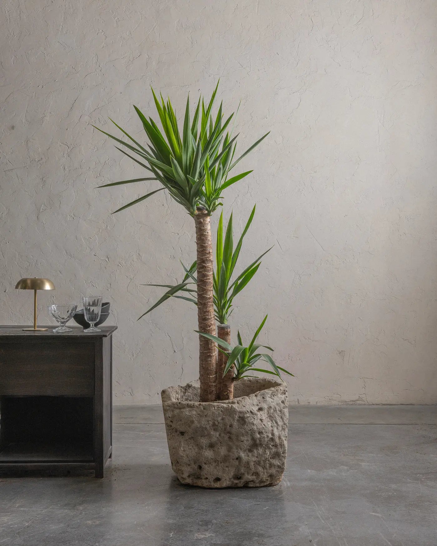 Limestone-10-Planter-Plant-Plntd-Lifestyle