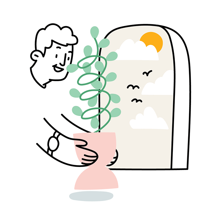 Planter placed besides window with sunlight