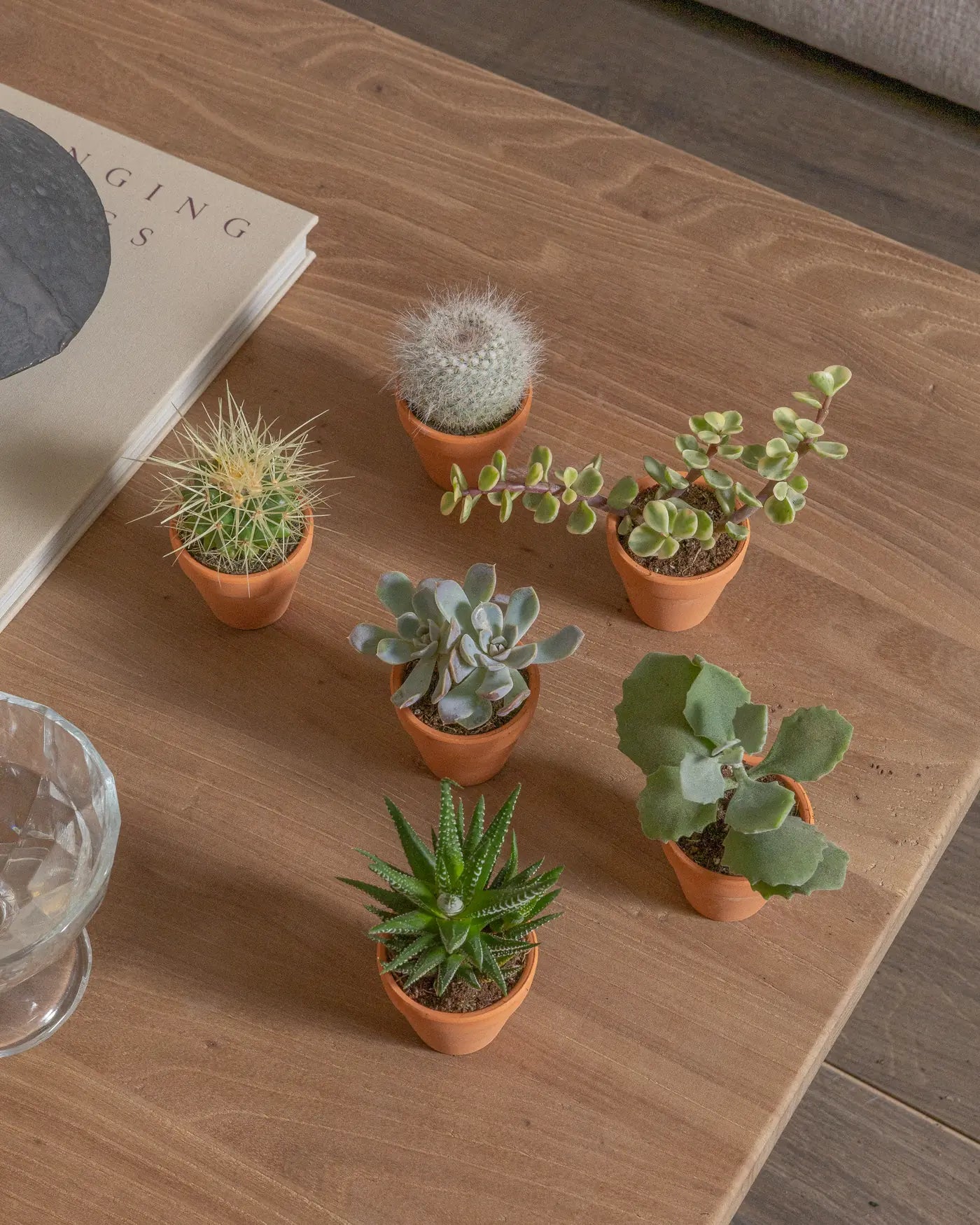 Micro-Set-Plntd-Lifestyle-7