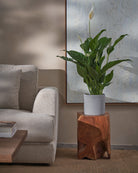 Peace-Lily-80cm-Circle-Cement-Grey-Plntd-Lifestyle-43