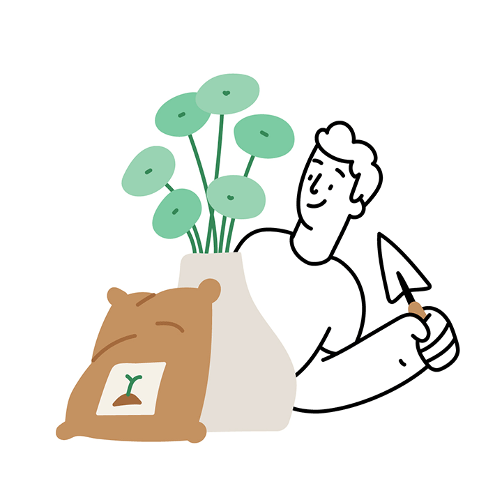 Plant preparing for repotting with bag of soil