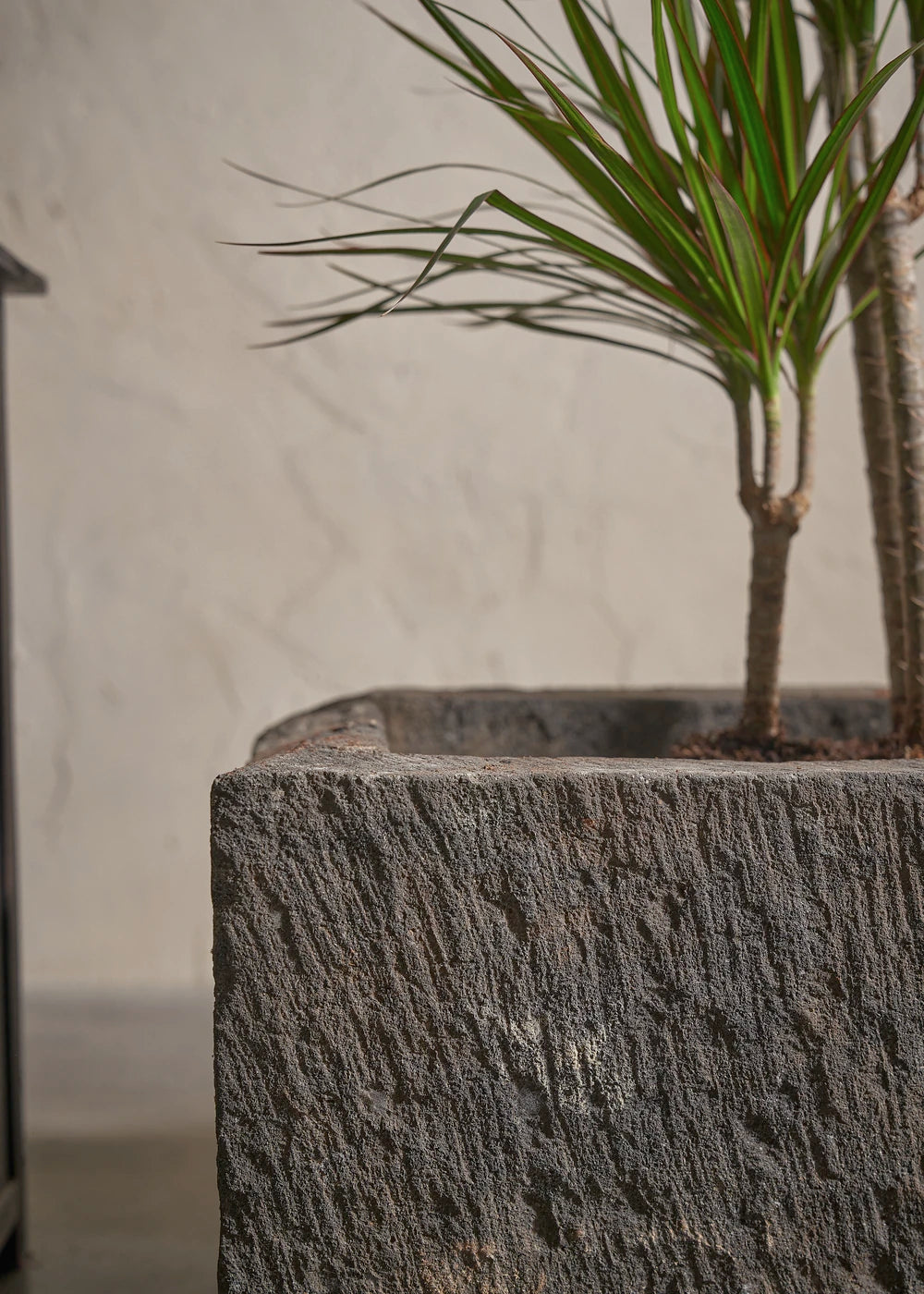 Small-Andesite-02-Plntd-Lifestyle-3