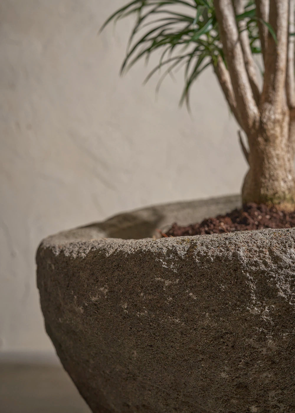 Small-Andesite-04-Plntd-Lifestyle-3