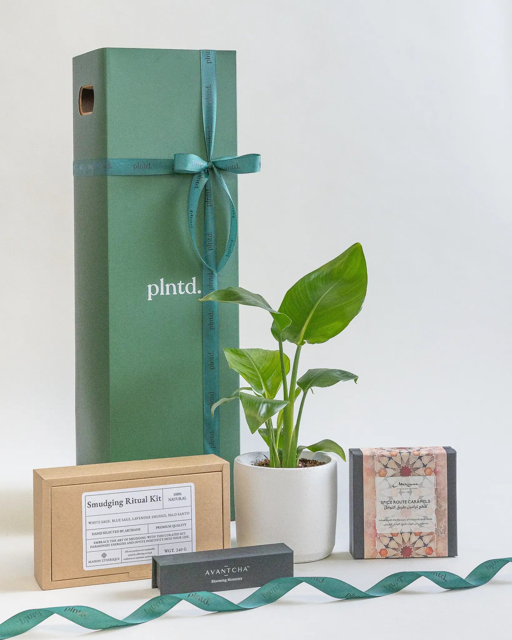 Potted anthurium plant beside a tall red gift box with a ribbon.