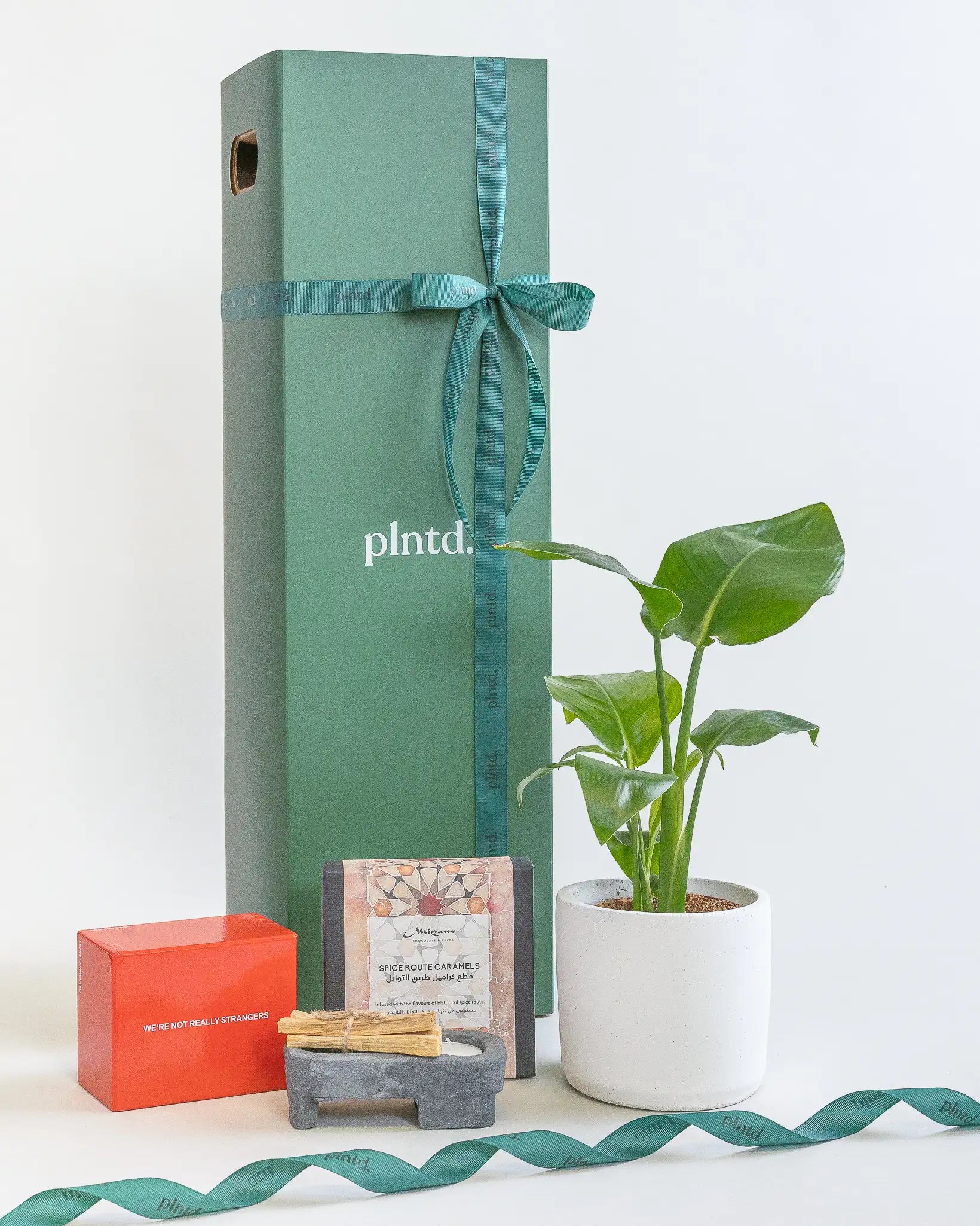 Potted anthurium plant beside a tall red gift box with a ribbon.