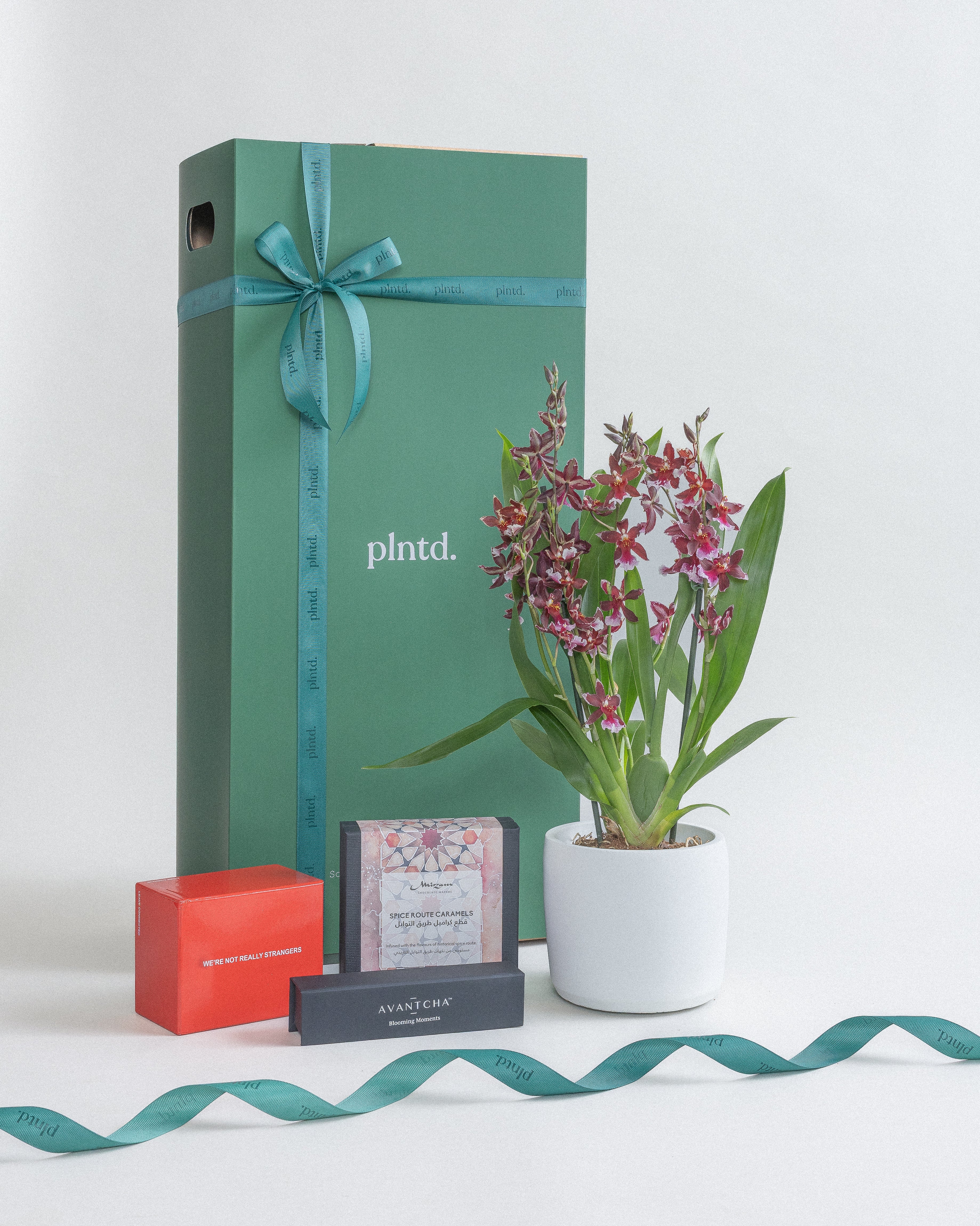Potted anthurium plant beside a tall red gift box with a ribbon.