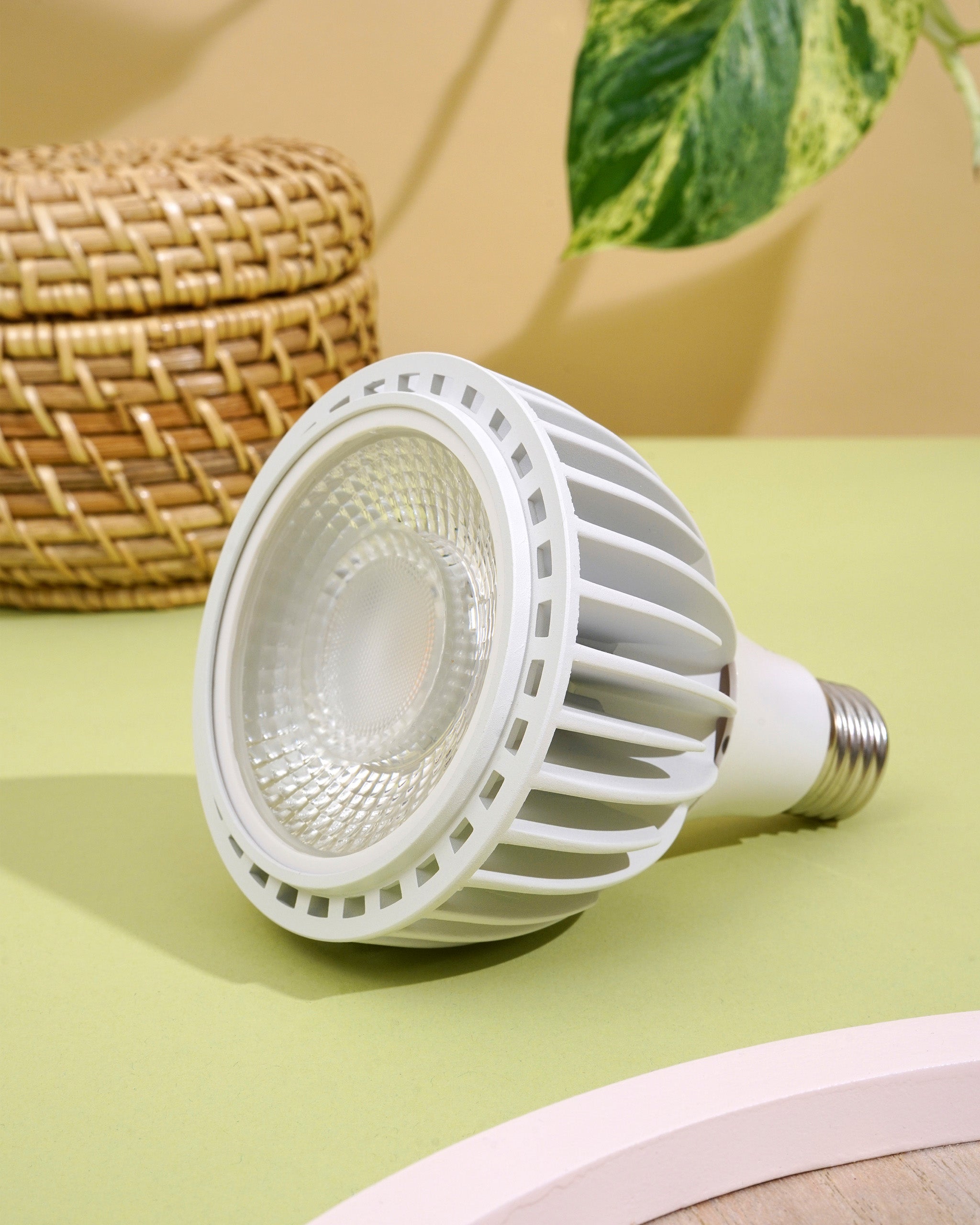White grow light for indoor plants