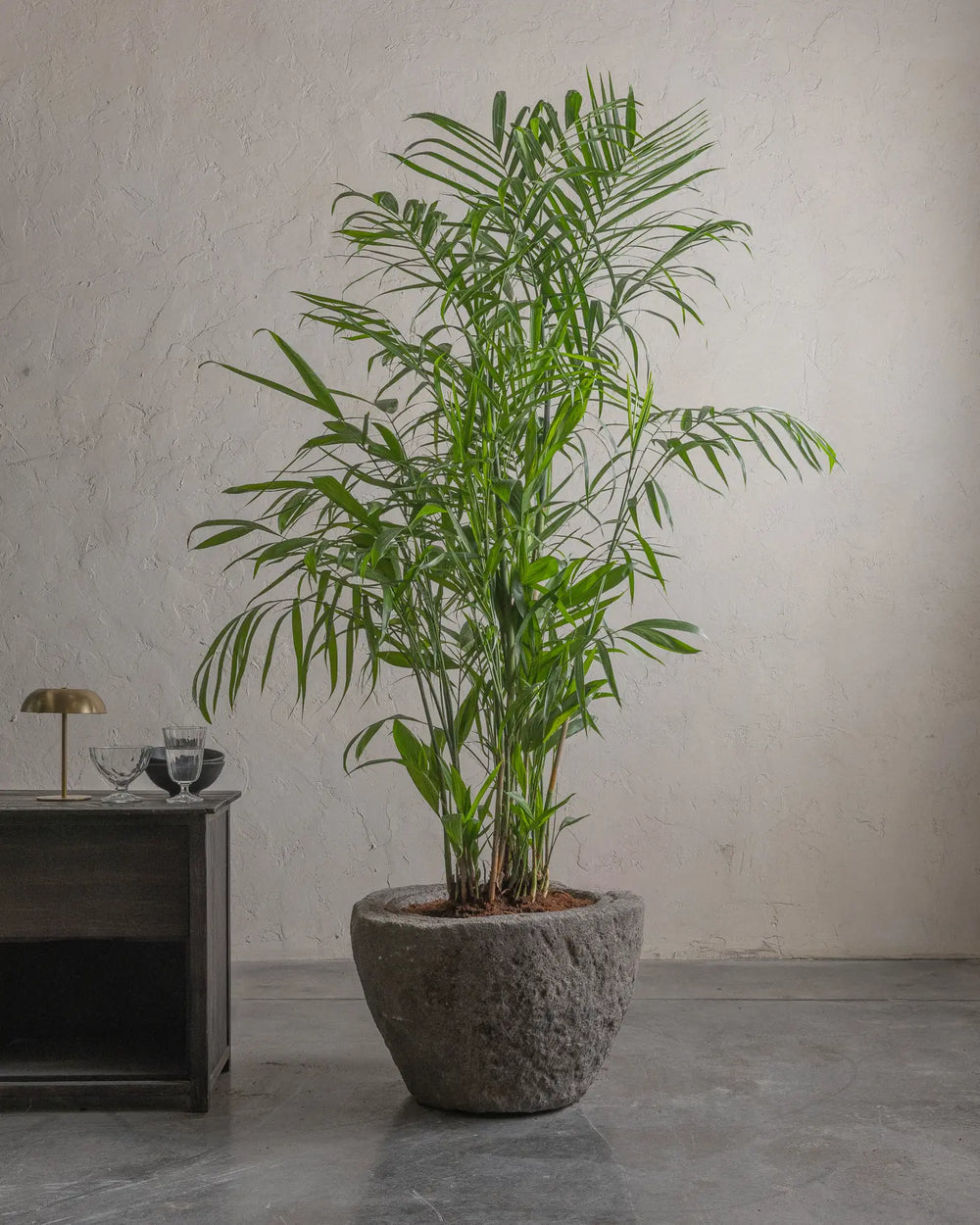 Andesite-07-Planter-Plant-Plntd-Lifestyle