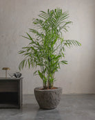 Andesite-07-Planter-Plant-Plntd-Lifestyle