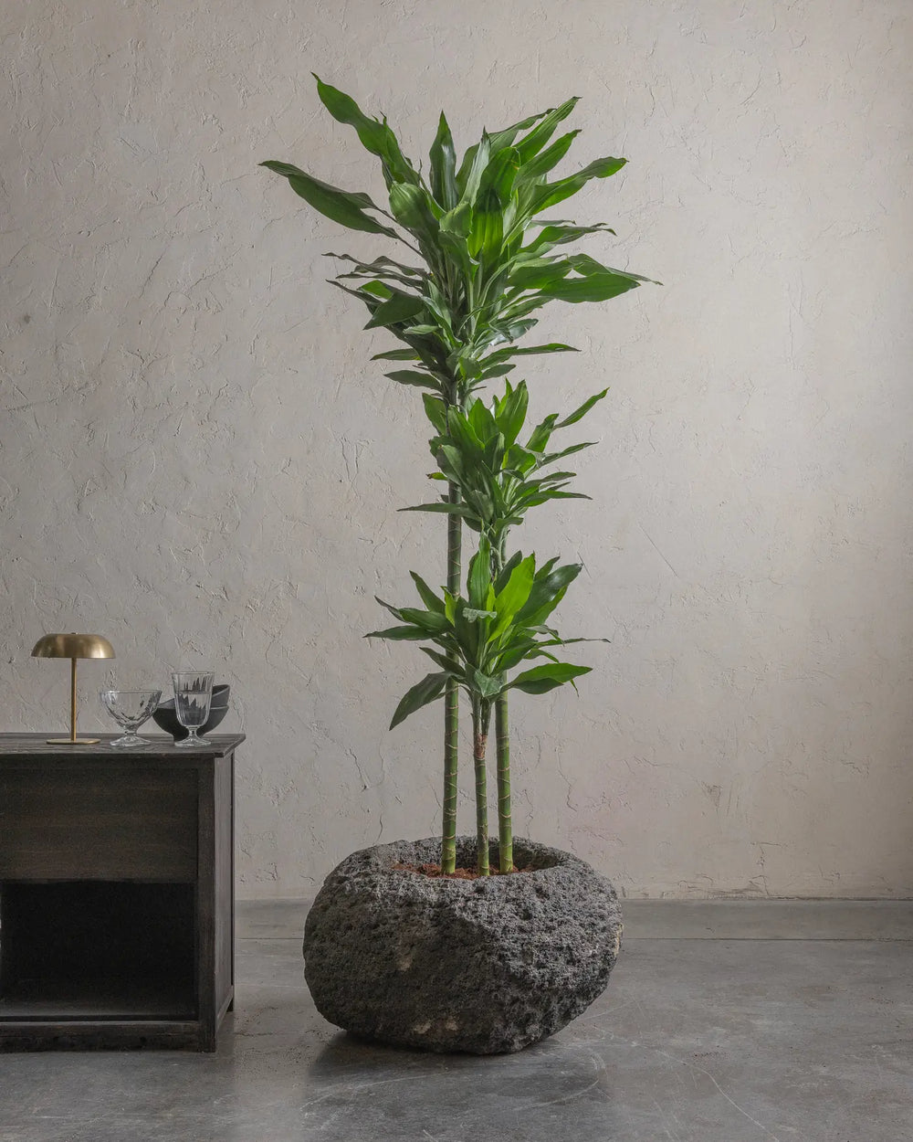 Andesite-08-Planter-Plant-Plntd-Lifestyle