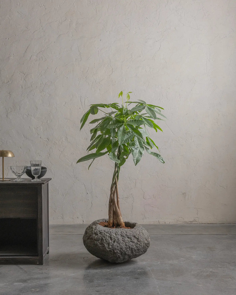 Andesite-09-Planter-Plant-Plntd-Lifestyle