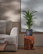 Areca Palm-70cm-Circle-Charcoal Black-Plntd-Lifestyle