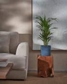 Areca Palm-70cm-Circle-Teia Blue-Plntd-Lifestyle