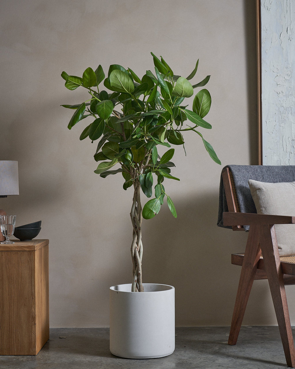 Banyan-Tree-130cm-Circle-Chalk-White-Plntd-Lifestyle-3