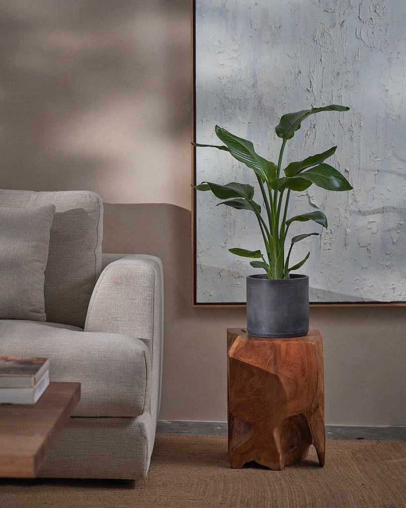 Bird of Paradise-80cm-Circle-Charcoal Black-Plntd-Lifestyle