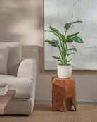 Bird-of-Paradise-80cm-Round-Chalk-White-Plntd-Lifestyle-58