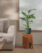 Bird-of-Paradise-80cm-Round-Slate-Green-Plntd-Lifestyle-60