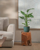 Bird-of-Paradise-80cm-Round-Slate-Green-Plntd-Lifestyle-60