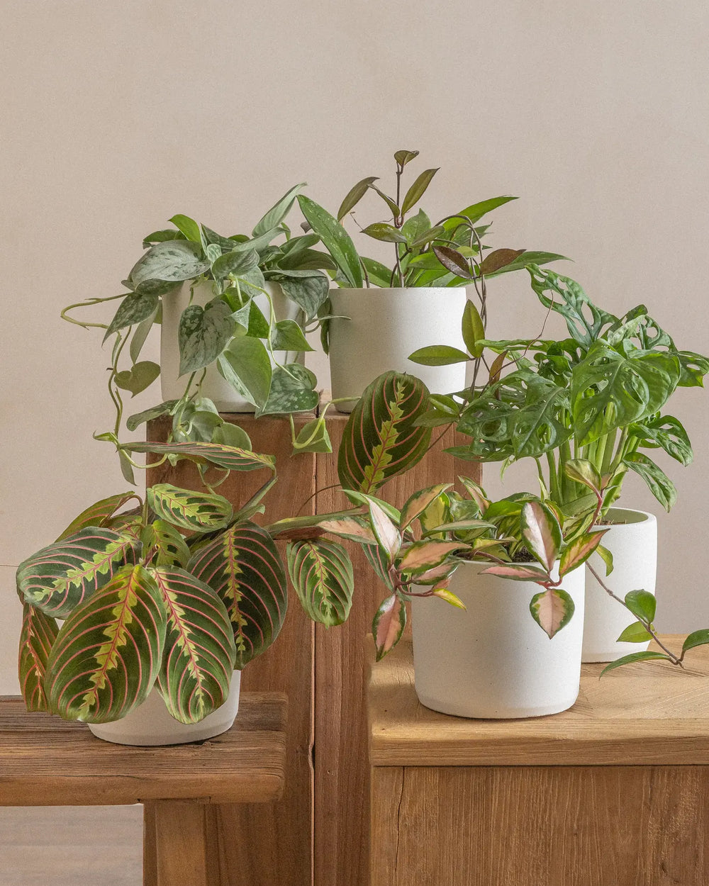 Bookshelf-Set-Plntd-Lifestyle