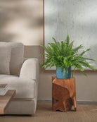 Boston-Fern-60cm-Circle-Teia-Blue-Plntd-Lifestyle-29