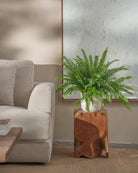 Boston-Fern-60cm-Round-Chalk-White-Plntd-Lifestyle-33