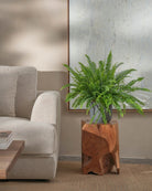 Boston-Fern-60cm-Round-Ember-Plntd-Lifestyle-35