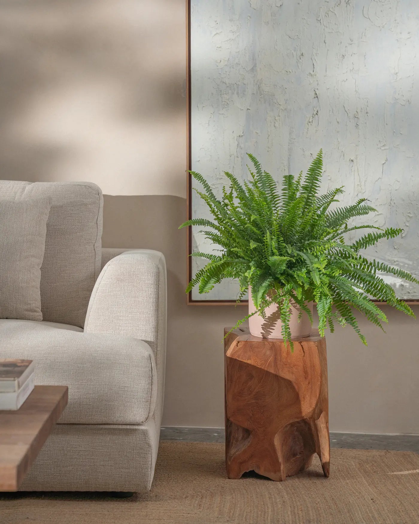 Boston-Fern-Plntd-Lifestyle-26