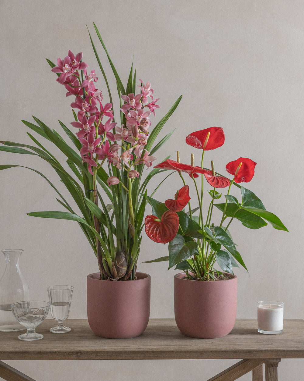 Darling-Set-60cm-70cm-Plntd-Lifestyle