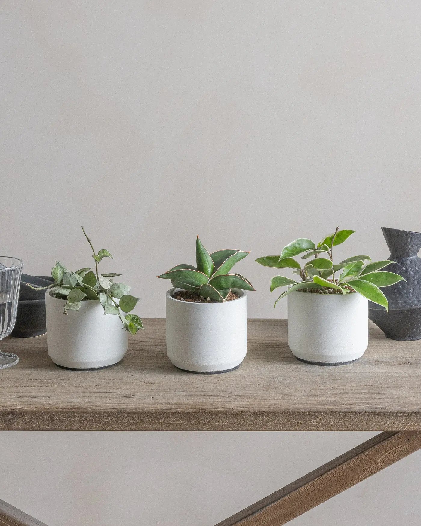 Desk-Trio-15cm-Plntd-Lifestyle_f8abc307