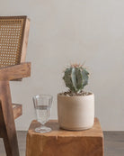 Dome-Cactus-25cm-Circle-Dusty-Beige-Plntd-Lifestyle-6