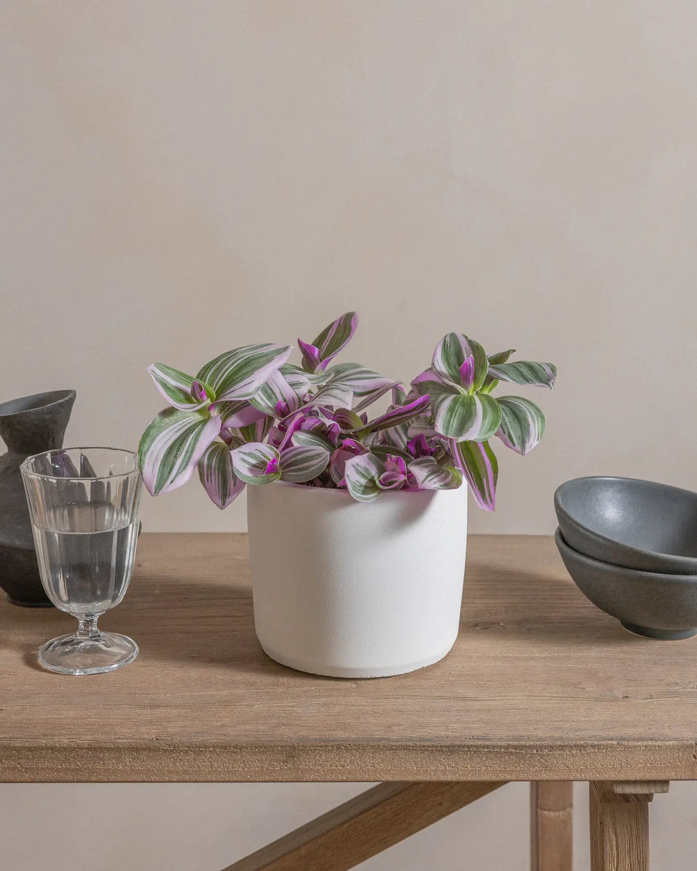 Fantasy-Venice-20cm-Circle-Chalk-White-Plntd-Lifestyle-17