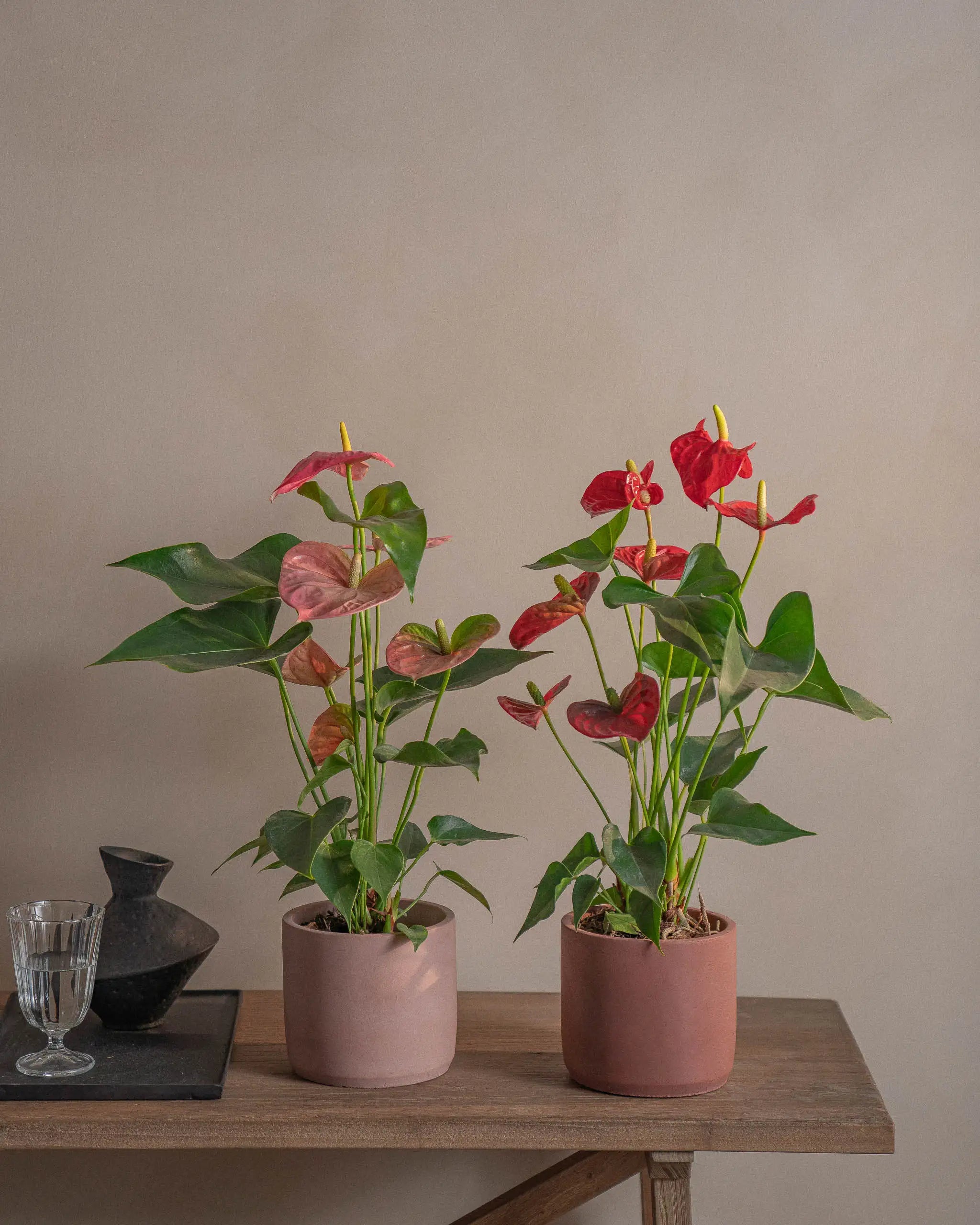 Flamingo-Pair-50cm-Circle-Rose-Pink-Corvan-Red-Plntd-Lifestyle