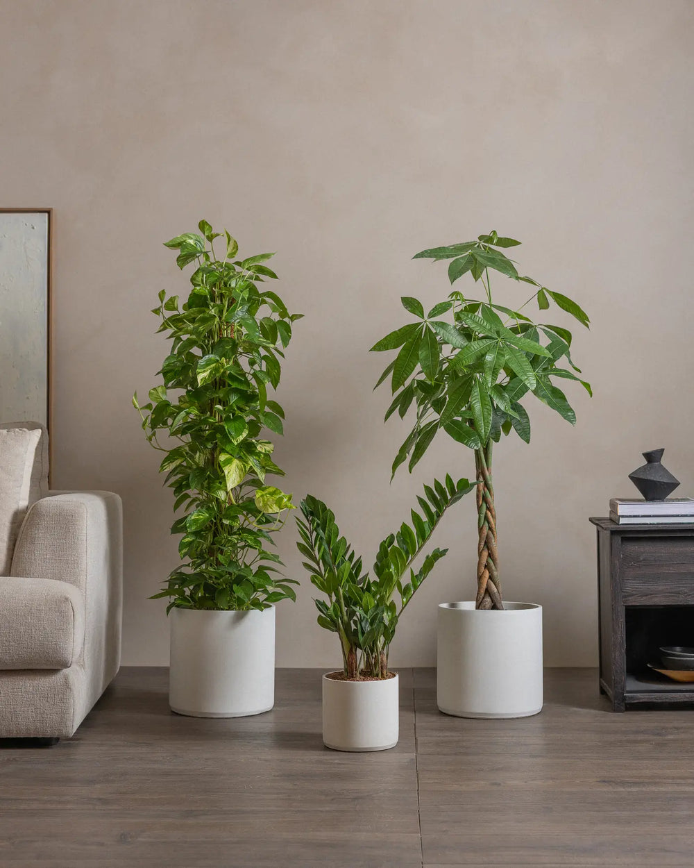 Good-Luck-Set-Plntd-Lifestyle