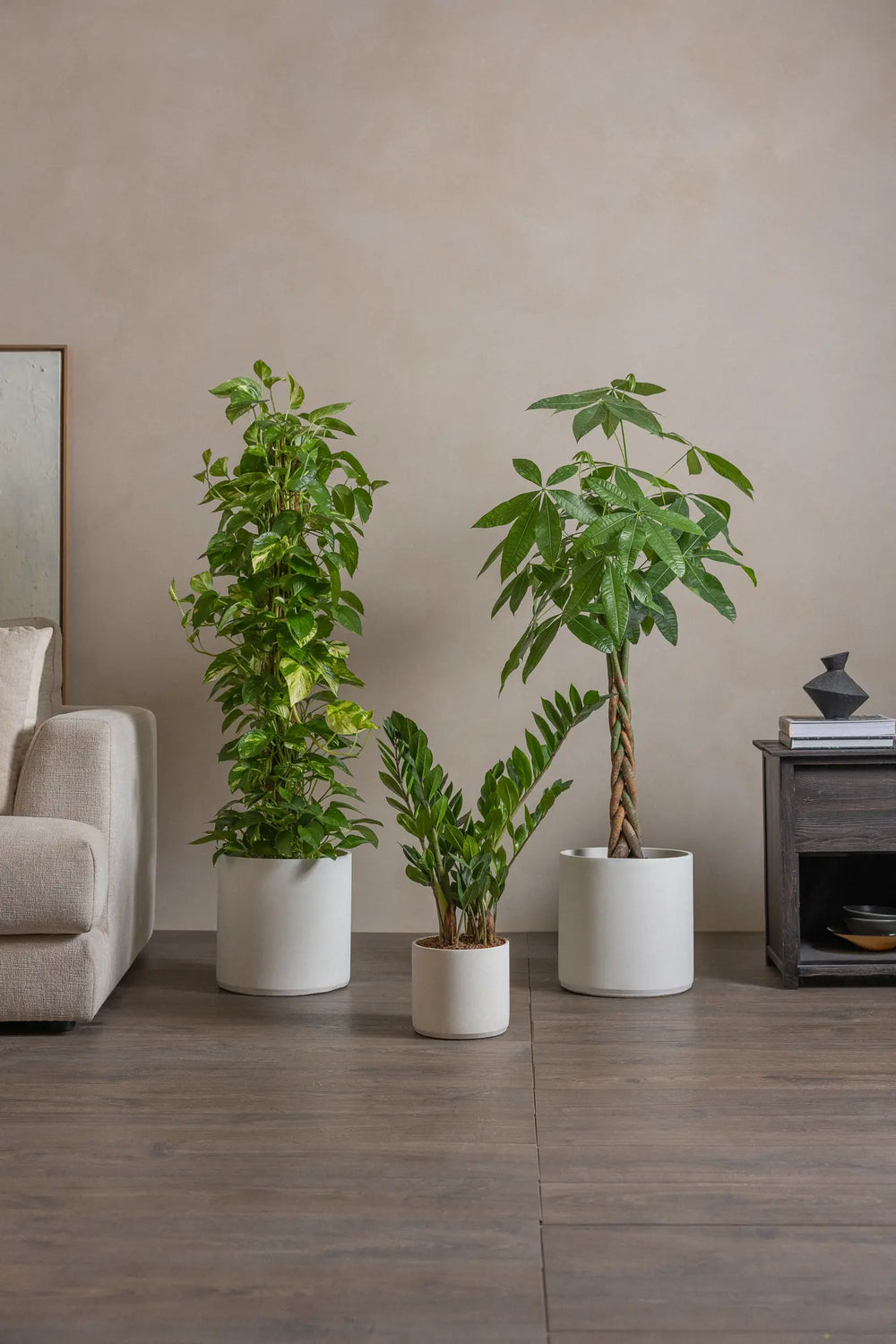 Good-Luck-Set-Plntd-Lifestyle