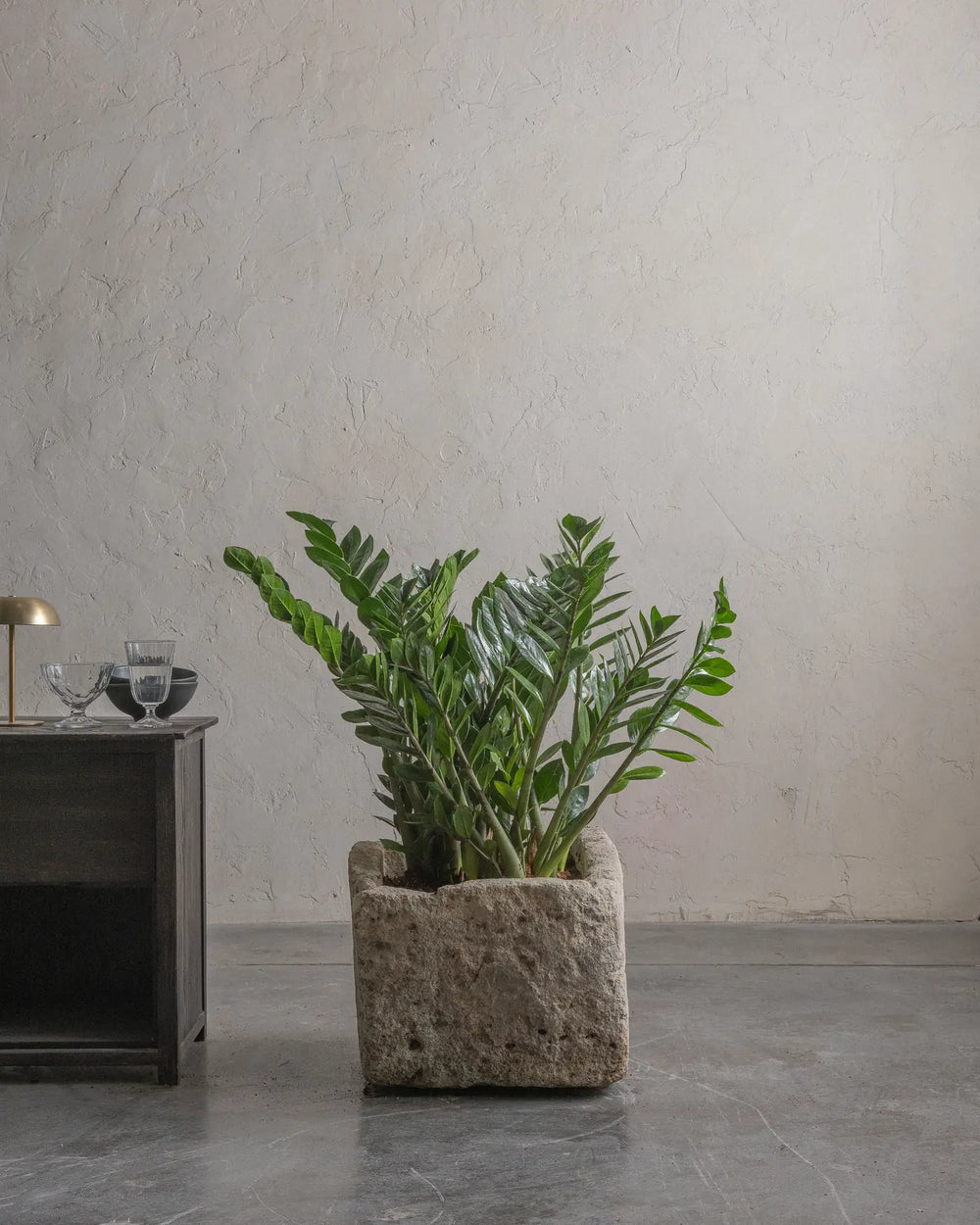 Limestone-11-Planter-Plant-Plntd-Lifestyle