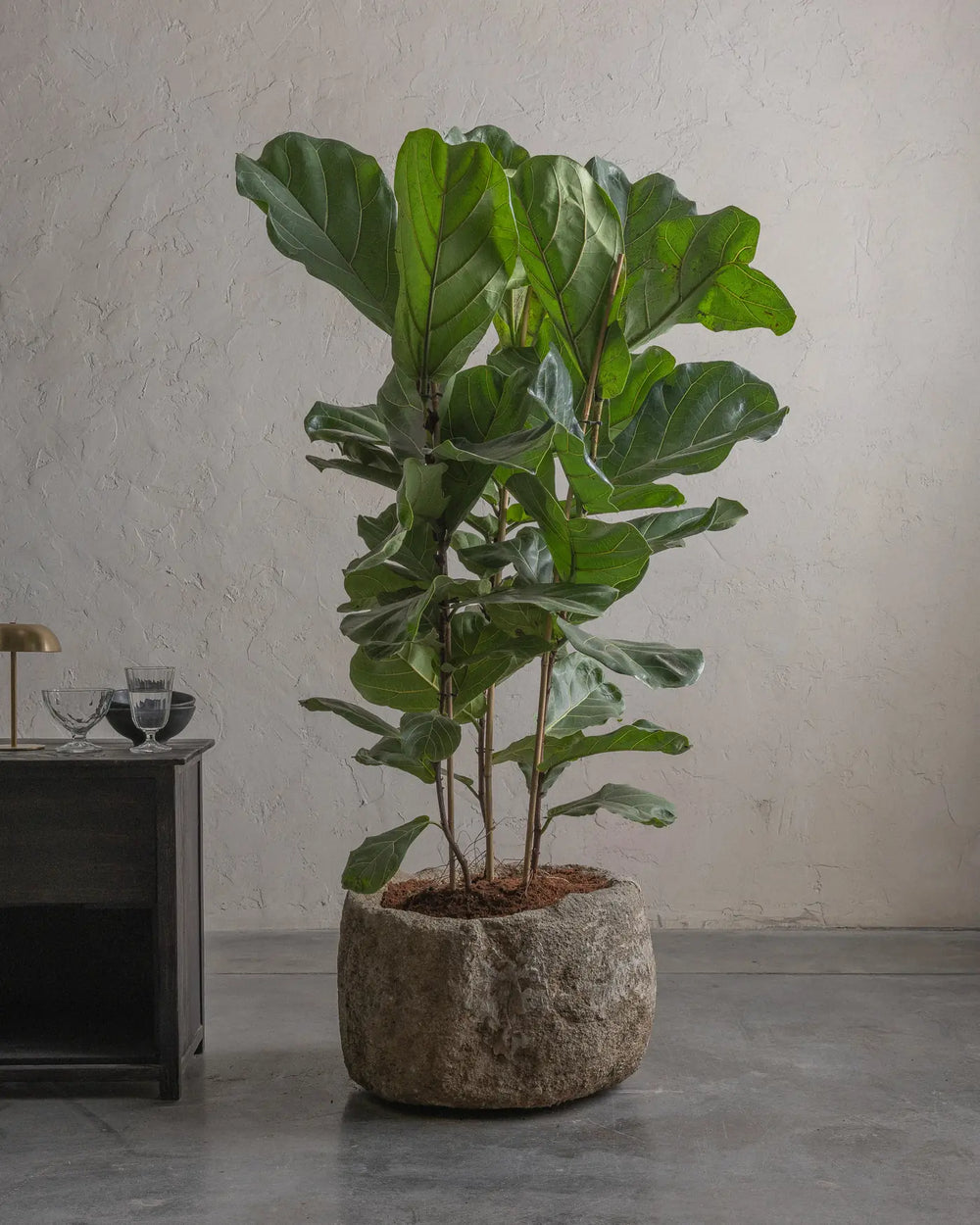 Limestone-12-Planter-Plant-Plntd-Lifestyle