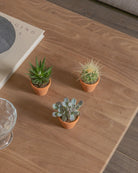 Micro-Set-Mix-Three-Plntd-Lifestyle-3