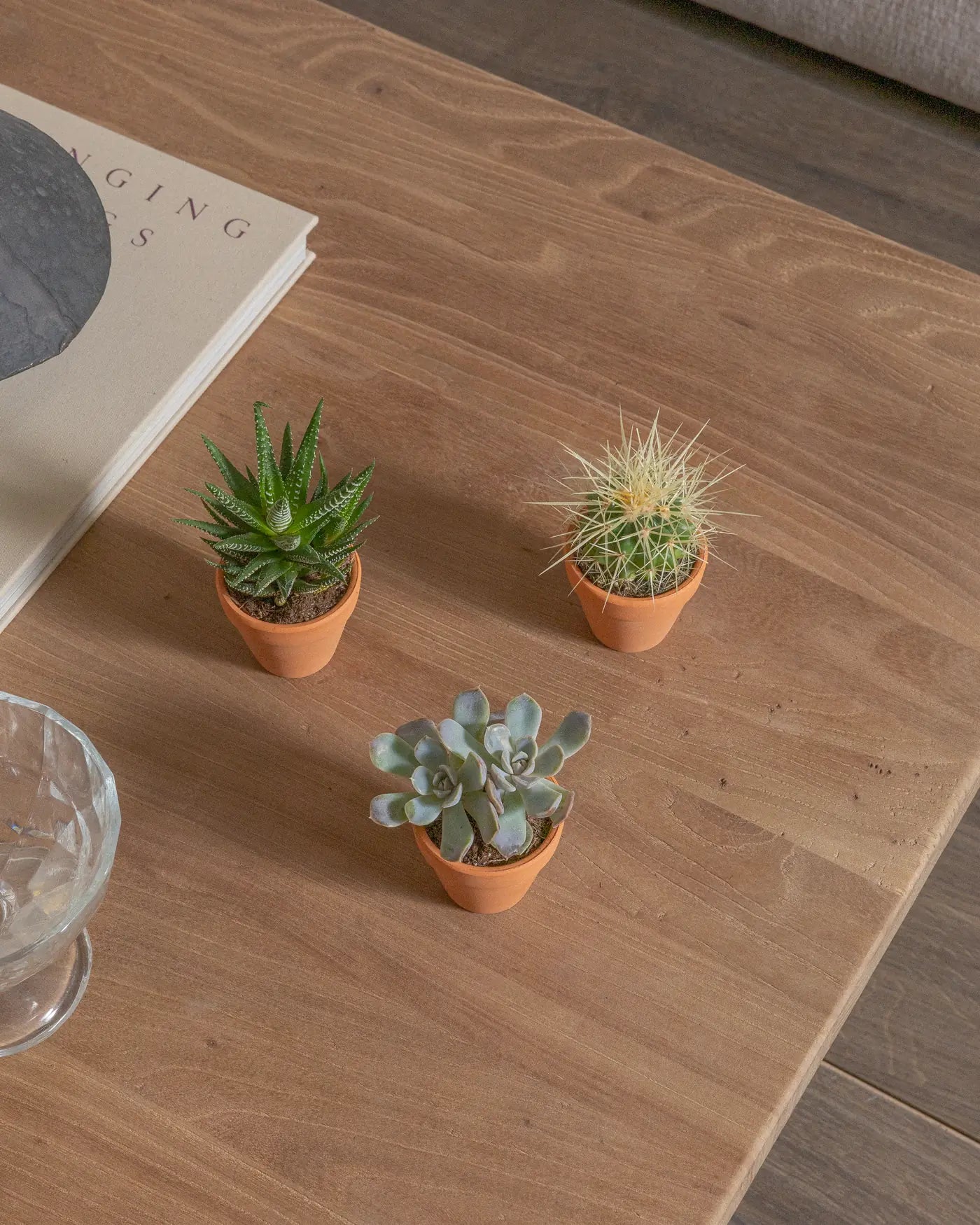 Micro-Set-Mix-Three-Plntd-Lifestyle-3