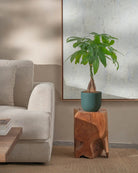 Money-Tree-70cm-Round-Slate-Green-Plntd-Lifestyle-52