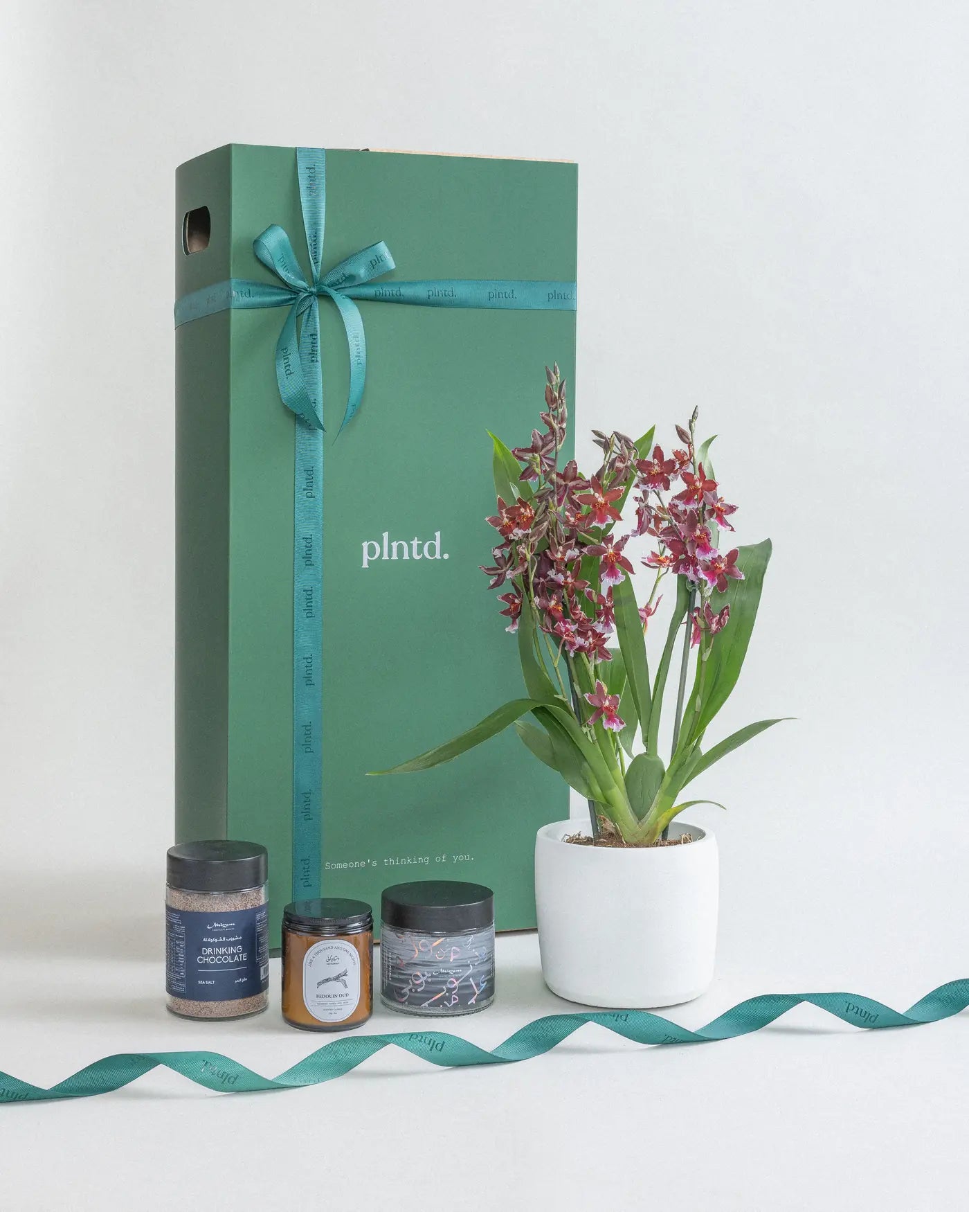 Potted anthurium plant beside a tall red gift box with a ribbon.
