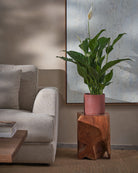 Peace Lily-80cm-Circle-Corvan Red-Plntd-Lifestyle